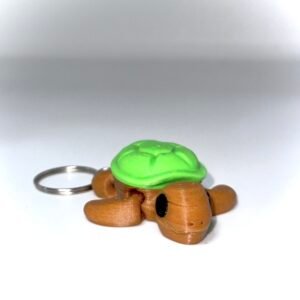 Tortuga